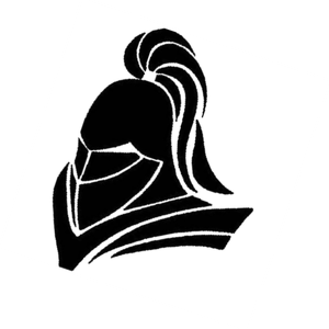 Robinson HS Knights for Life!